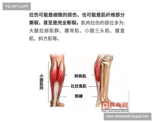 腘绳肌与股四头肌力量平衡对运动损伤预防的神经肌肉功能监测应用研究 腘绳肌与股四头肌力量平衡对运动损伤预防的神经肌肉功能监测应用研究